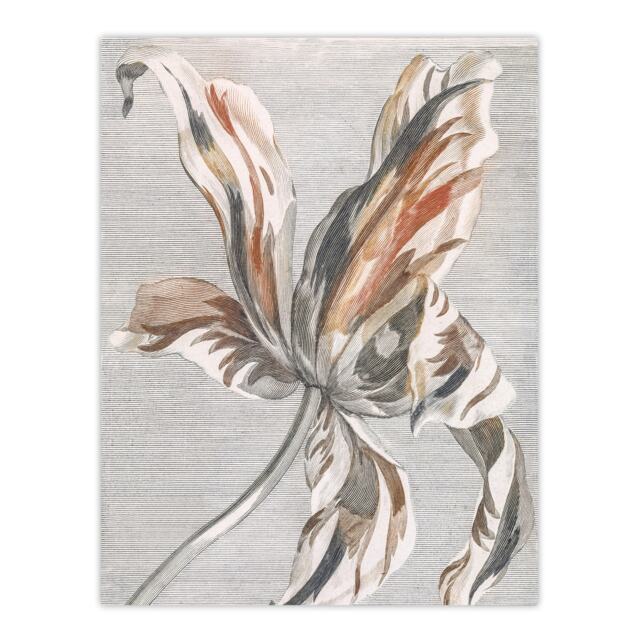 Tulip Flower Bloom Floral Painting Teyler Huge Wall Art Poster Print