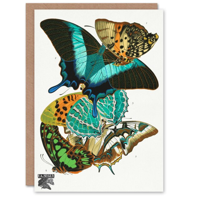 Eugene Seguy Art Card Vintage Colourful Butterflies