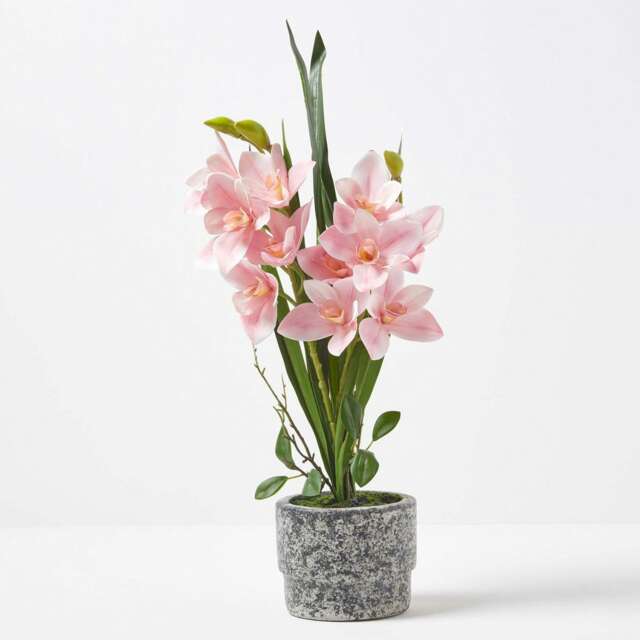 Homescapes Pink Orchid 58 cm Cymbidium in Cement Pot Extra Large, 2 Stems