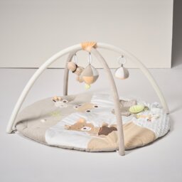 2-in-1 Baby Playmat & Activity Gym