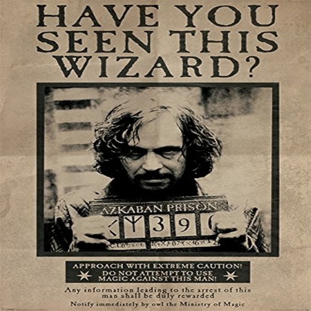 Harry Potter (Wanted Sirius Black) Maxi Poster - Poster / Prints