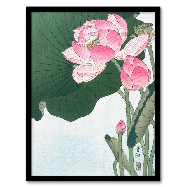 Ohara Koson Framed Wall Art Print Blooming Lotus Flowers Home Décor