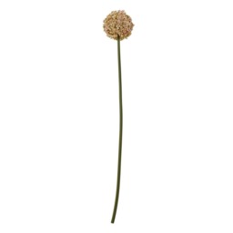 Hill Interiors Allium Stem Artificial Plant - Pink - 90cm