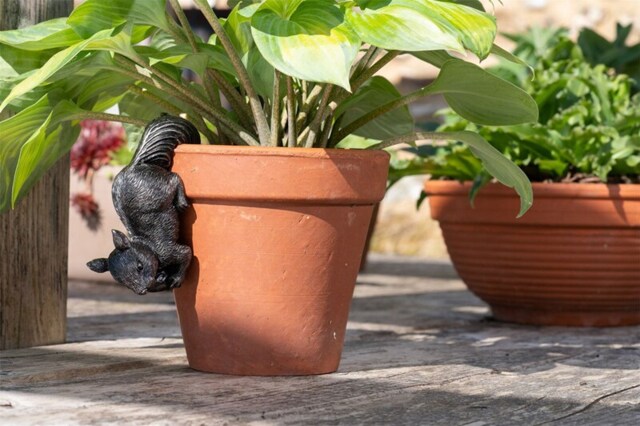Red Squirrel Plant Pot Hanger - L13 x W4.5 x H7 cm