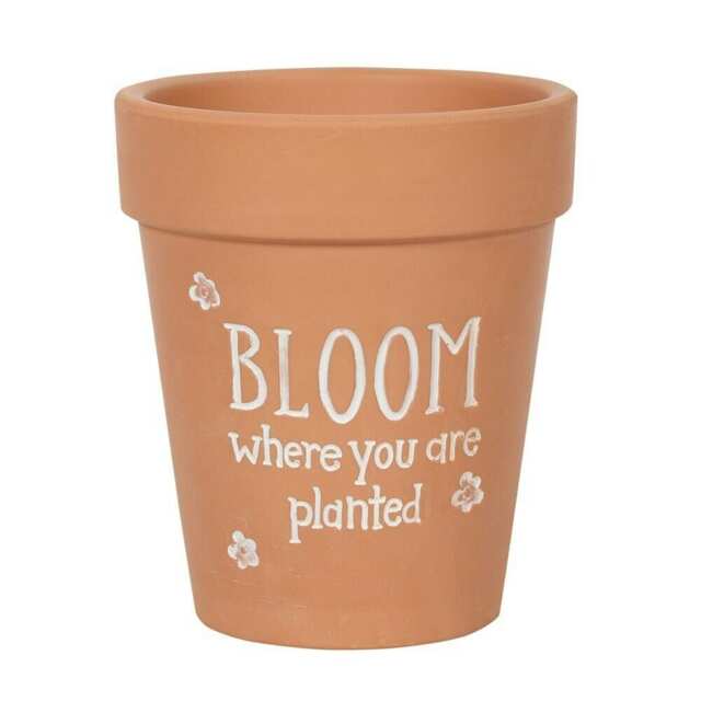 Something Different Bloom Where You Are Planted Terracotta Plant Pot - Brown/White - 17cm x 15cm x 15cm