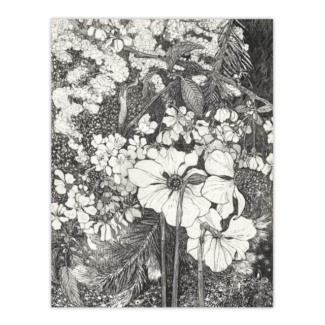 "Spring Flowers Black and White Vintage Wall Art Print van Hoytema 12x16"""