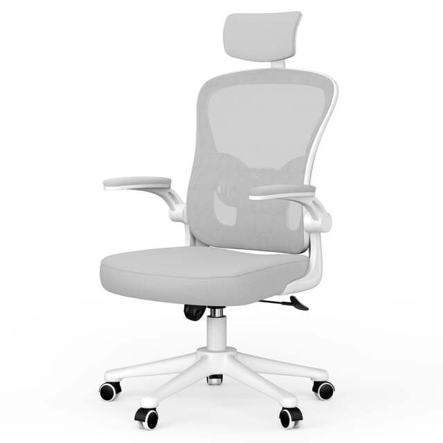 Rattantree Ergonomic Office Chair With Headrest & Lumbar Support