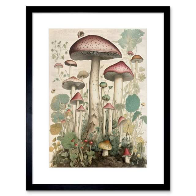 "Mushroom Fungi Botanical Page Vintage Cottage Core 9x7"" Black Framed Wall Art Print"