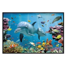 Gloss Black Framed Tropical Dolphins Maxi Poster Multi
