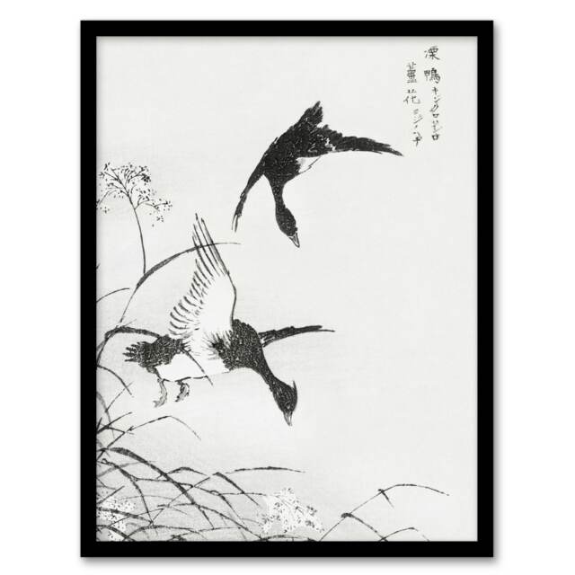 "Tufted Duck and Reed Flower Japanese Vintage Framed Wall Art Print Kashu 12x16"""