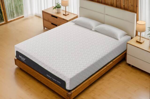 Mlily Bamboo Superb Ortho Memory 2500 Pocket Mattress Double White Double 1