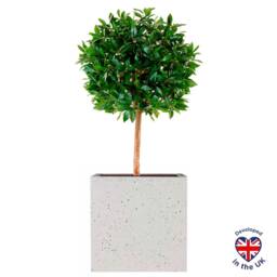 Square Box Grey Marble Light Concrete Garden Planter H40 L40 W40 cm, 65 ltrs Cap.