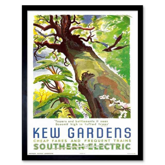 Travel Kew Gardens Southern Electric Tree Bird Framed Wall Art Print