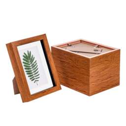 "Nicola Spring 5 x 7"" Photo Frames - Dark Wood/White Mount - 3D Picture Frame Box Portrait Display Case (20 x 15.5cm) Set of 5"