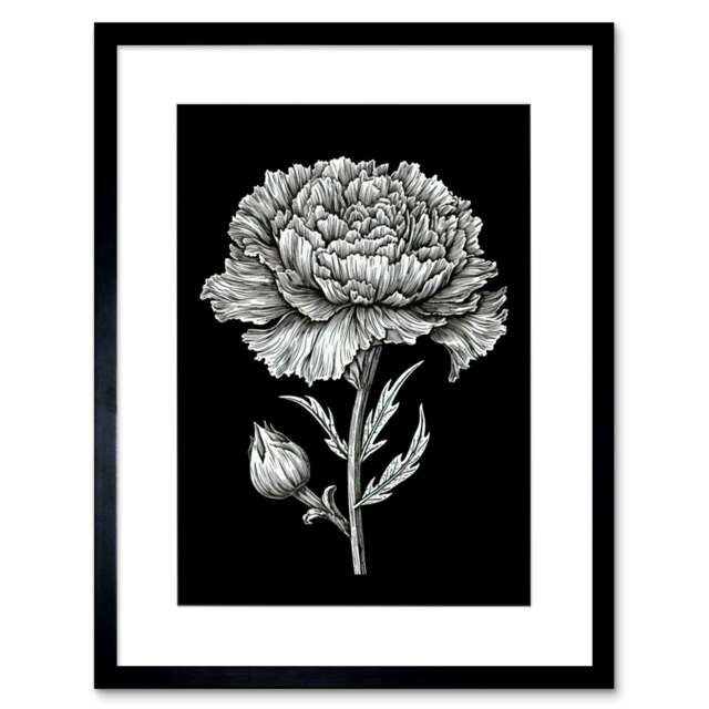 "Single Carnation Flower Black White 9x7"" Black Framed Wall Art Print"