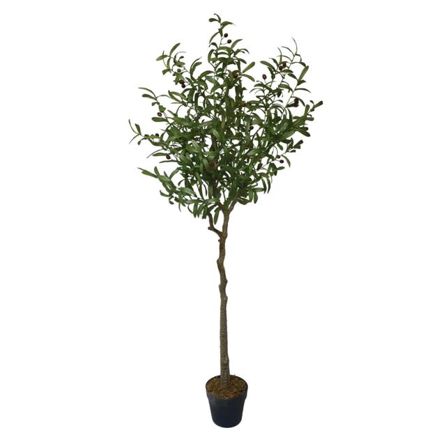 True Products Premium Artificial Olive Tree 170cm Tall Green One Size