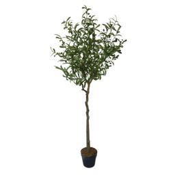 True Products Premium Artificial Olive Tree 170cm Tall Green One Size