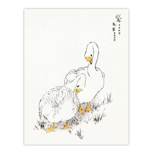 "Two White Geese Japanese Vintage Japan Wall Art Print Kashu 24x32"""