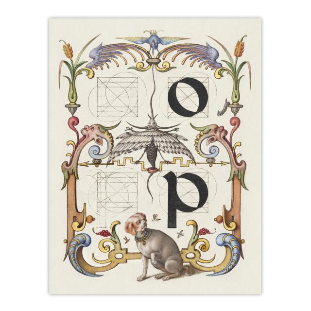 "Pictorial Letter Guide O And P Calligraphy Wall Art Poster Print 12X16"""