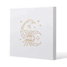 Zodiac scorpio horoscope in gold & white (canvas) / 46 x 46 x 4cm Multi