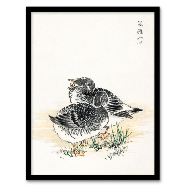 Kashu Framed Wall Art Black Brant Geese Pictorial Monograph Of Birds Home Décor