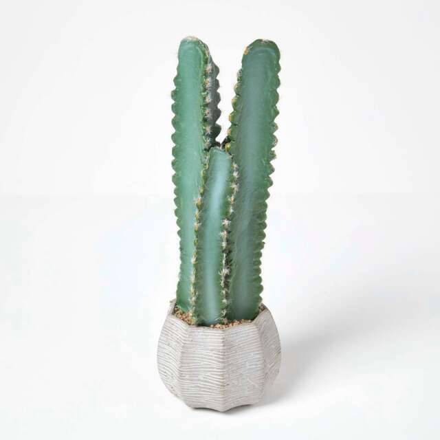 Homescapes Hylocereus Artificial Cactus In Decorative Textured Stone Pot, 49 cm Tall