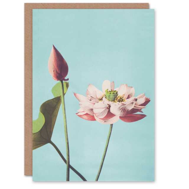 Ogawa Kazumasa Japanese Art Card Pink Lotus Flower Blooms