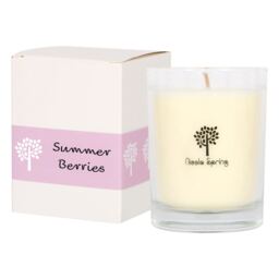 Nicola Spring Summer Berries Scented Candle - 160g 28h Natural Single Wick Soy Wax Aromatherapy Candle Home Fragrance