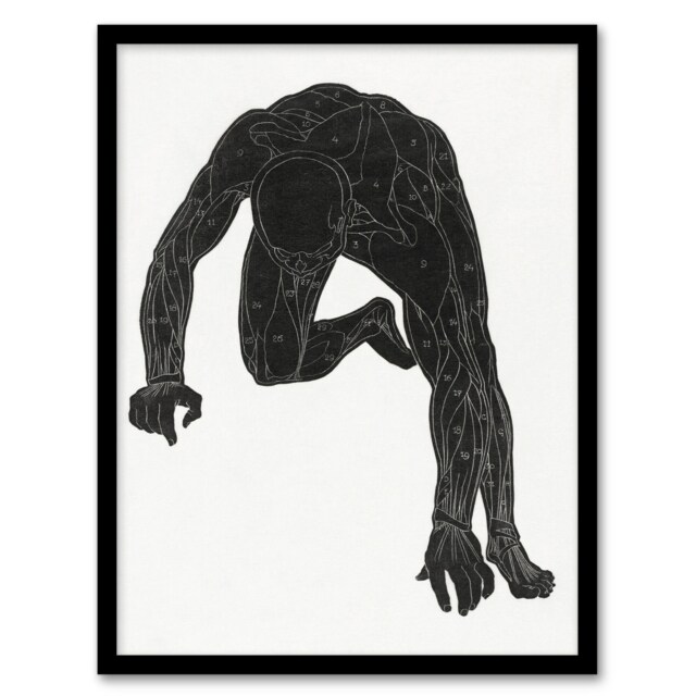 Reijer Stolk Man Silhouette Anatomical Study of Muscles Framed Wall Art Print A3
