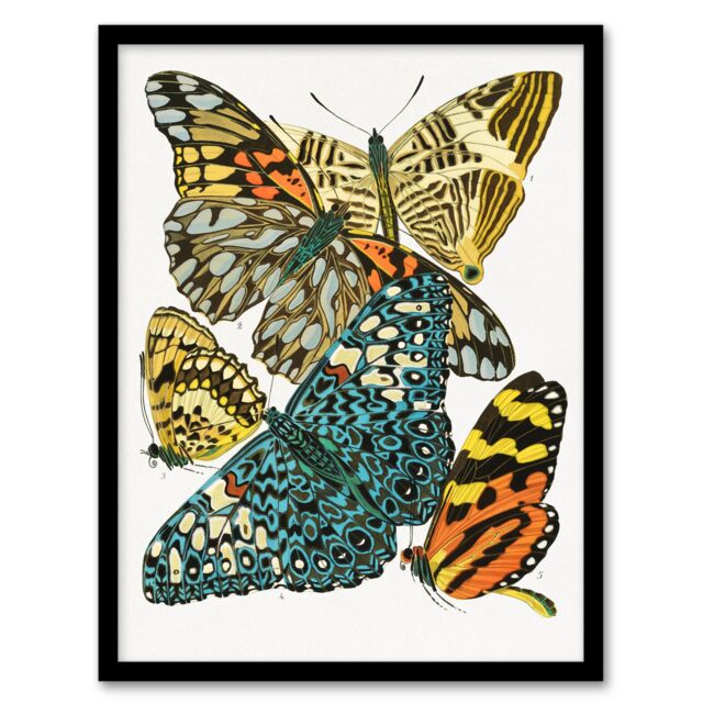 "Vintage Butterflies Blue Yellow Vintage Framed Wall Art Print Seguy 12x16"""