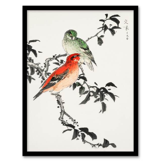 Numata Kashu Framed Wall Art Print Crossbill Birds Japanese Home Décor