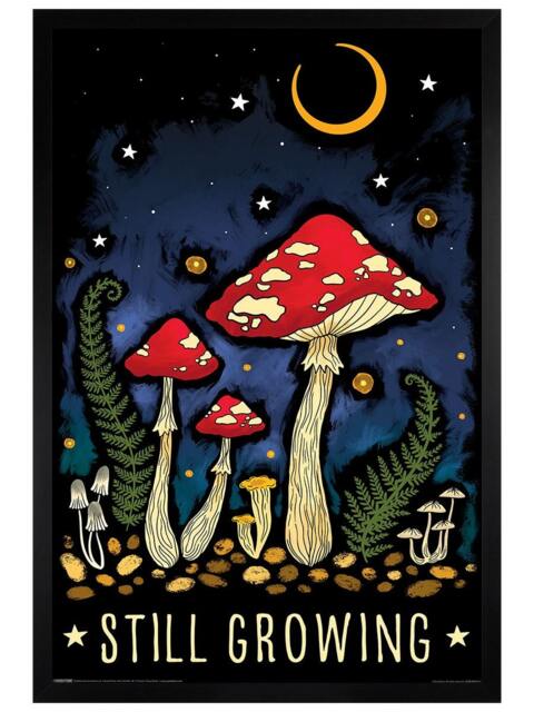 Black Wooden Framed Magical Mushroom Still Growing Maxi Poster Multi