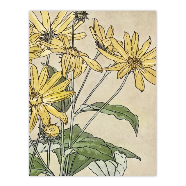 "Sunflowers Watercolour Vintage Wall Art Print Overbeck 12x16"""