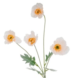 Hill Interiors Poppy Artificial Flower Spray White White One Size 1