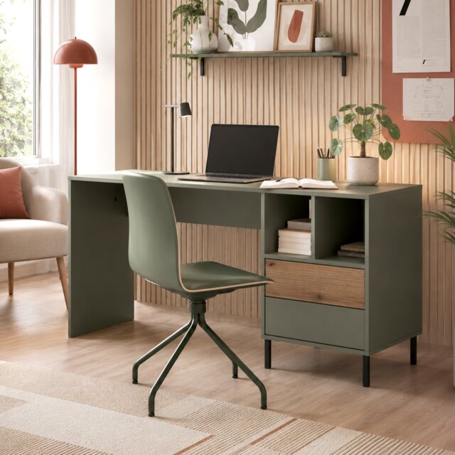 Darwin Desk 2 Drawer in Green and Oak