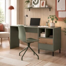 Darwin Desk 2 Drawer in Green and Oak