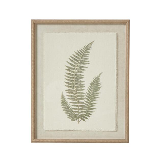Hill Interiors Textured Fern Texture Torn Paper Framed Art Print White White/Grey/Green One Size 1