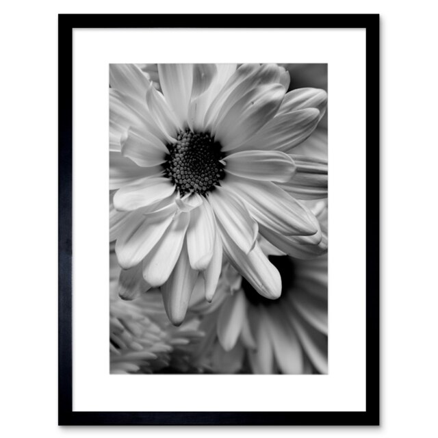 "Black White gerbera Flower Living Room 12x16"" Framed Wall Art Print"