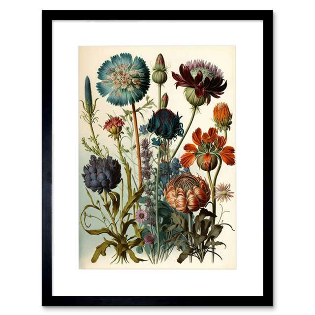"Vintage Botanical Ernst Haeckel Plant Study 9x7"" Black Framed Wall Art Print"