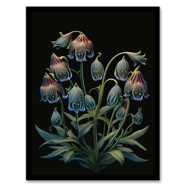 Delicate Plant Blooms Ernst Haeckel Style Botanical Black Framed Wall Art Print A4