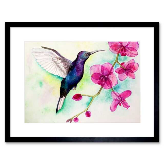 "Hummingbird Bird Pink Orchid Flowers Watercolour Painting 9x7"" Black Framed Wall Art Print"
