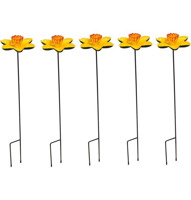 Cast Iron Daffodil Dish Wild Bird Feeders (Set of 5)