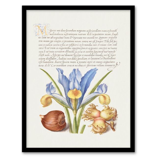 Model Book of Calligraphy Framed Wall Art Iris Flower and Hazelnut Home Décor