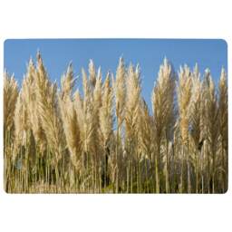 Pampus Grass Designer Rug Multi
