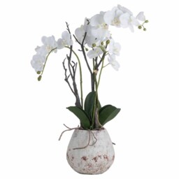 Orchid in Stone Pot Artificial Flower - Plastic - L46 x W46 x H70 cm - White