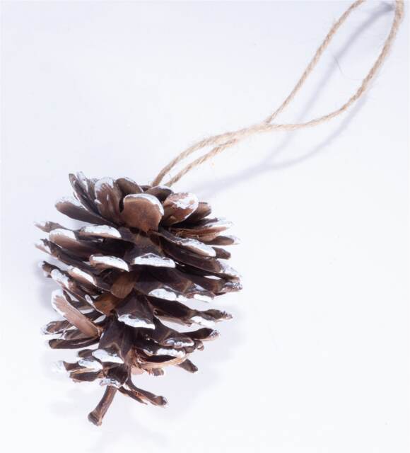 St Helens White Tipped Hanging Pinecone - Set Of 6