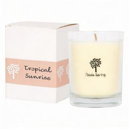 Nicola Spring Tropical Sunrise Scented Candle - 160g 28h Natural Single Wick Soy Wax Aromatherapy Candle Home Fragrance