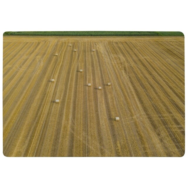 Straw Bales Of Wheat Lying On Harvested Field Designer Rug Multi