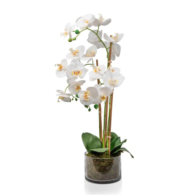 White Artificial Orchid Plant Transparent Pot 60cm Real Touch Petals