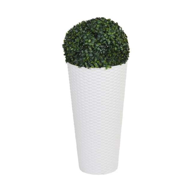 Round Pots with Boxwood Ball Plant - 28x25x25cm White White & Set of 1 1